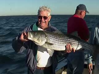 صور Cape Cod Fishing صيد السمك